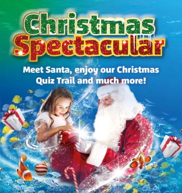 Christmas Spectacular at SeaLife Loch Lomond